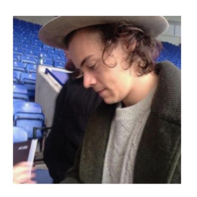 hi! i'm @cyberkidhes and i'm here to remind you that harry loves you :D xx have a great day