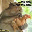 Ariel Rincon - @RINCONARIEL - Twitter