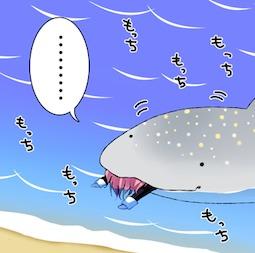最近は遊戯王、シャドバエボルヴにはまり中 デュエマ、ユニアリ始めました。