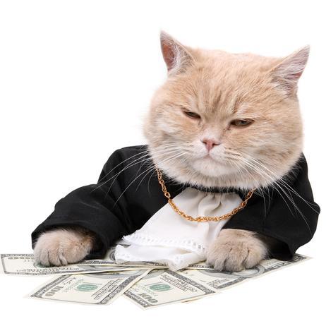 We know how you can make money online. Get rich on the internet like the rest of us!