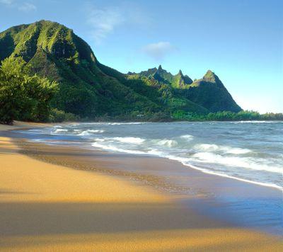 ingamb2's profile picture. 