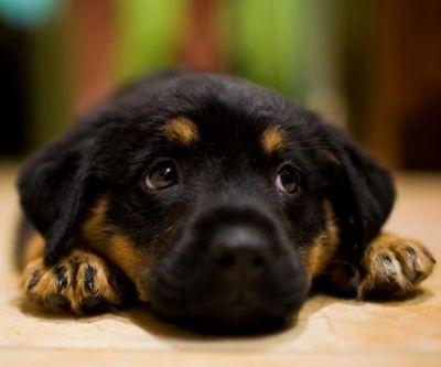 salazar_blake's profile picture. treat others with respect