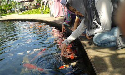 Picture