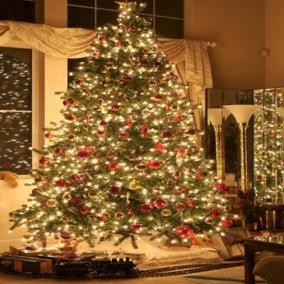 corelogic2010's profile picture. All philosophy lie in two words *Abstinence and Sustenance *