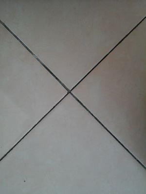 joni55932795's profile picture. free