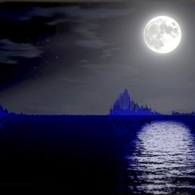 WaveformsArt's profile picture. A truly original and sound gift of Art. Ask us for details.