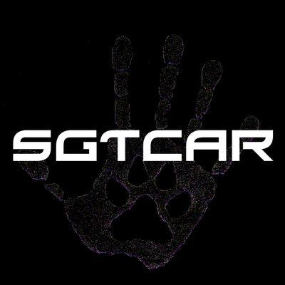 Psn/Youtube @ Sgtcar  Partnered With Freedom