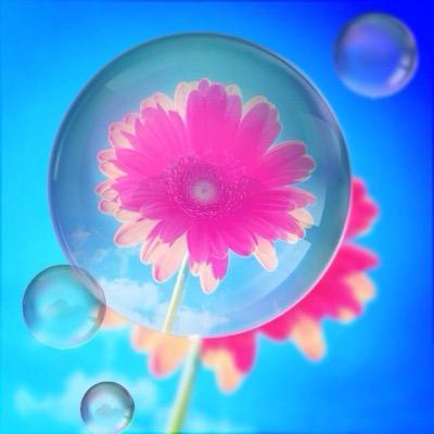 いろいろすき。成人済み。