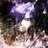 CriissMaik's profile image