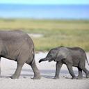 Dexter Wang - @MC_DexterW - Twitter