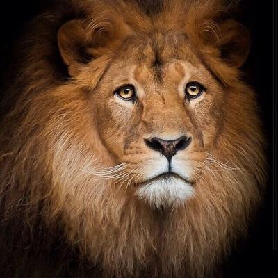 RT3777's profile picture. 