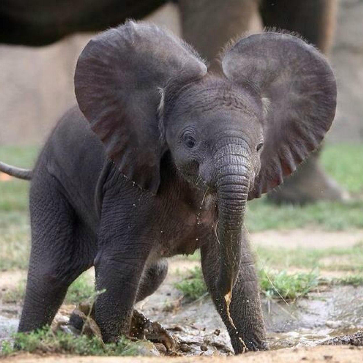 carow48's profile picture. 