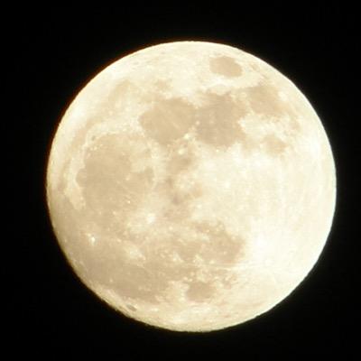 raki_113's profile picture. 