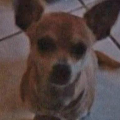 Arivera916Jake's profile picture. 