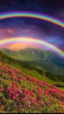 navyseal113's profile picture. 다양한 전문가!