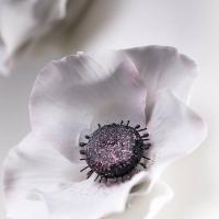 Joanne Price (@bellecakedesign) 's Twitter Profile