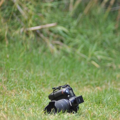 k101christmas's profile picture. 