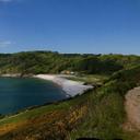 Matthew Rees - @reesrunning4 - Twitter