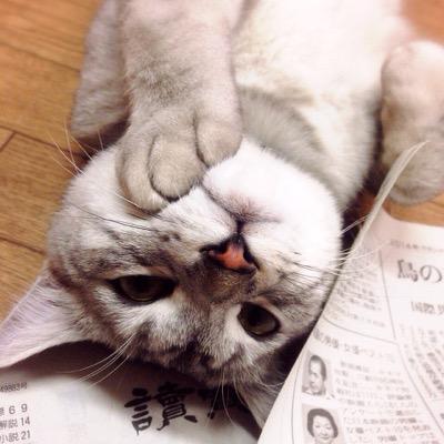 「ふるさと納税」を通じて見つけた地域の魅力や、ブログ情報、日々の生活の中での小さな発見などをつぶやいています。嬉しい気持ち、ありがとうの気持ち、小さな幸せをみんなで分かち合っていけたら嬉しいです。元保護犬&猫だった3匹のワンニャンズと暮らす神奈川県在住の5人家族。モットーは、日々楽しく暮らすこと！