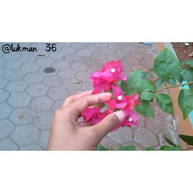 lukman_36's profile picture. 