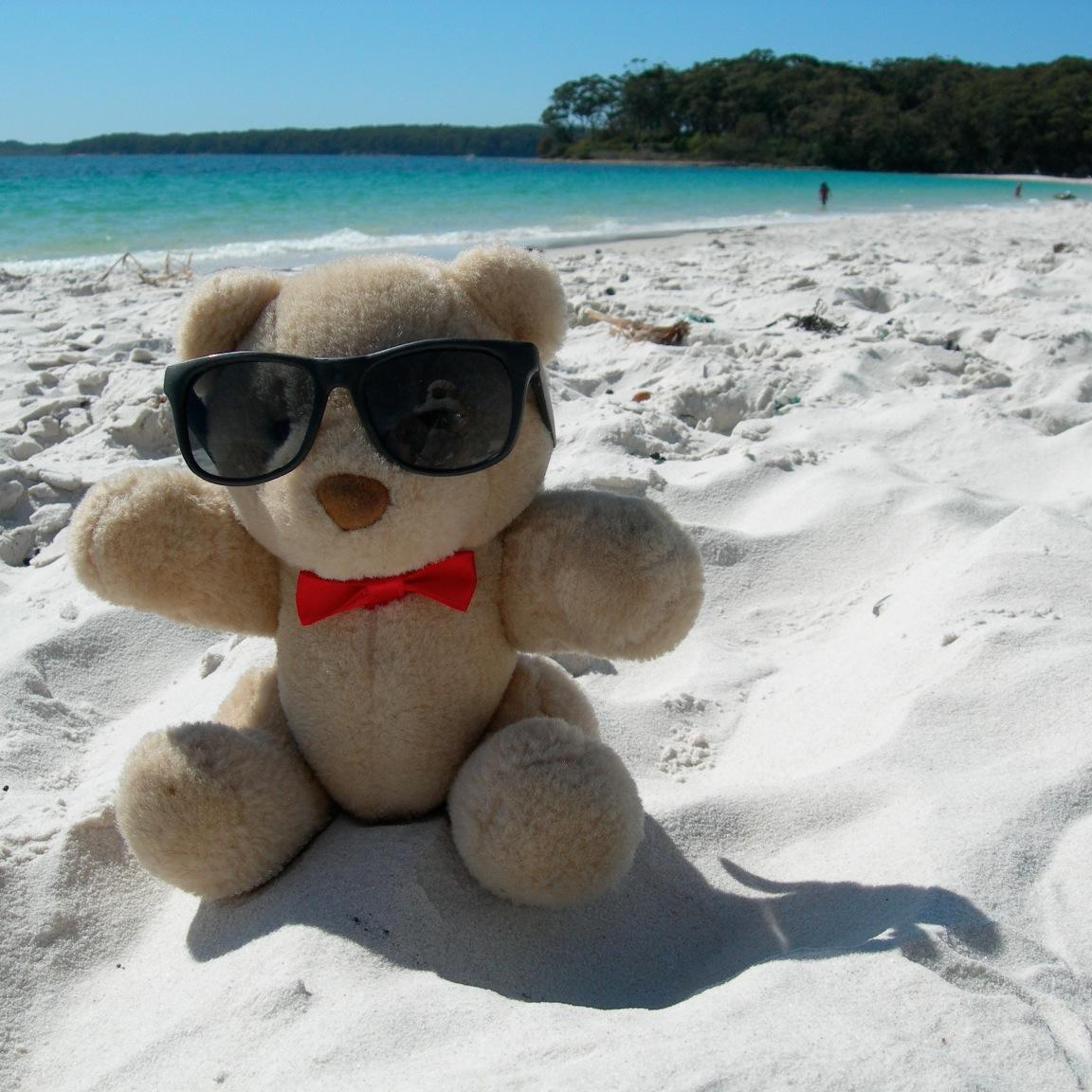 I am a travelling bear who loves adventure! Come and join me on the journey.