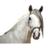 yeguadavjimenez's profile image