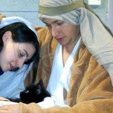 ewan_saunders's profile picture. 