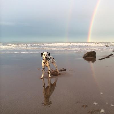 mikecramond's profile picture. 