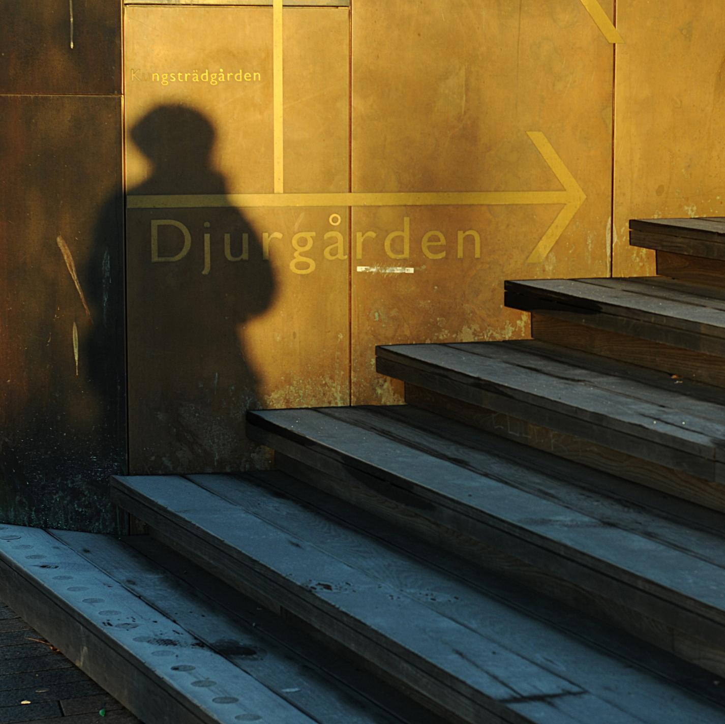 alicia_hbg's profile picture. 