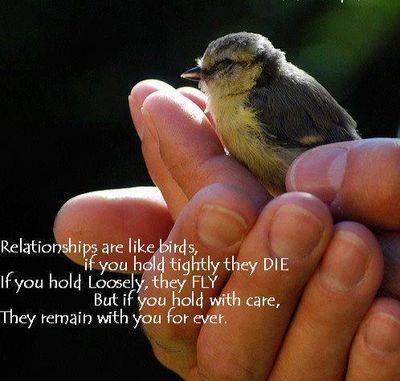 ataur1982331's profile picture. 