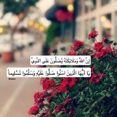 ‏‏الخاص مغلق