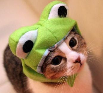 mulank's profile picture. 