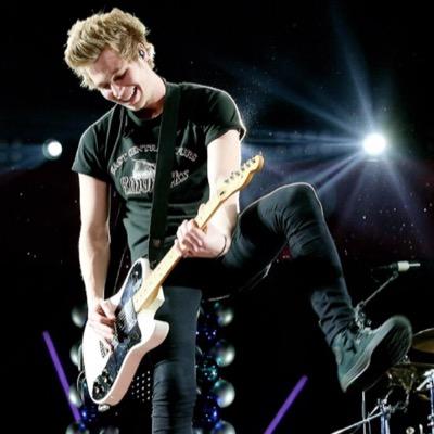 🍃🌹🌻 - concerts are my home - met 5sos 11.11.2015