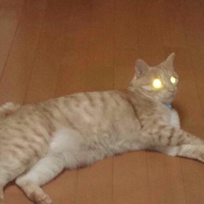 うっちーさんのプロフィール画像
