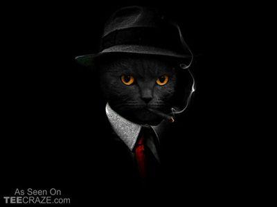 De officiële katten agenten!  (heel stiekem mischien @MaxLrs)