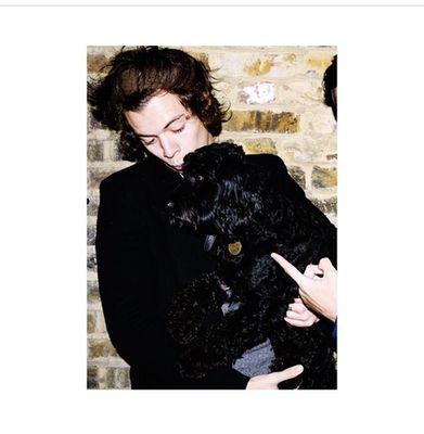 cuenta dedicada a Harry Styles