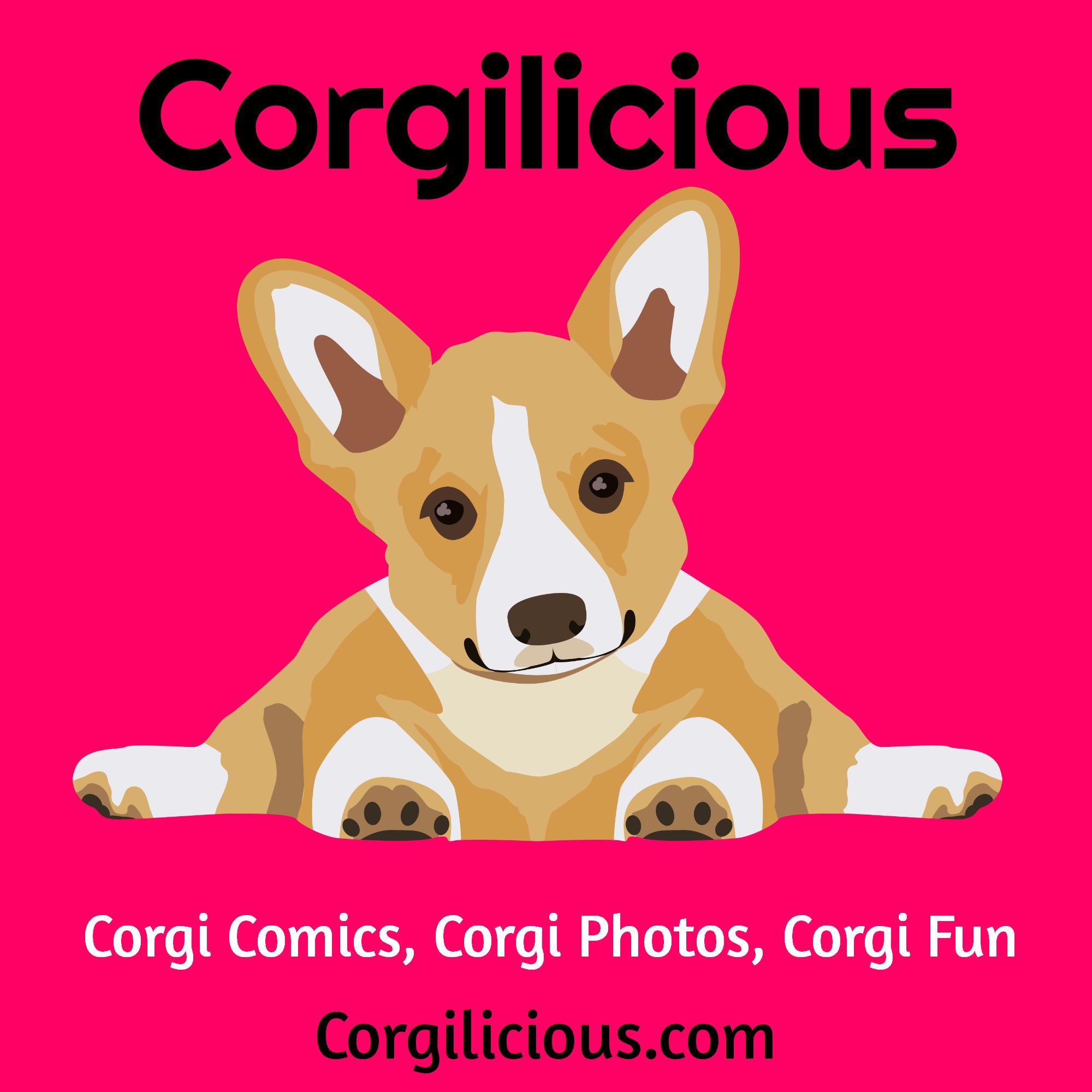 Corgi Comics, Corgi Photos, Corgi Fun