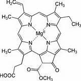 Fungal plant pathology and fungicide resistance. Worked in UK, Denmark and Australia. Nowadays writing, grandparenting and sailing.