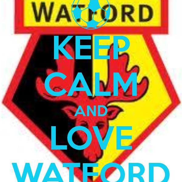 ahukbtopenworld's profile picture. Married Watford supporter living in Devon. Dad to two younger Hornets. Fighting MS.