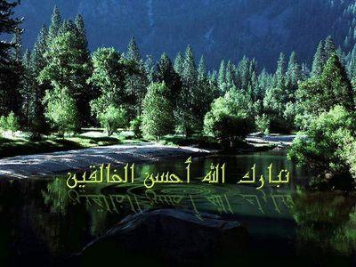 العلم نور
