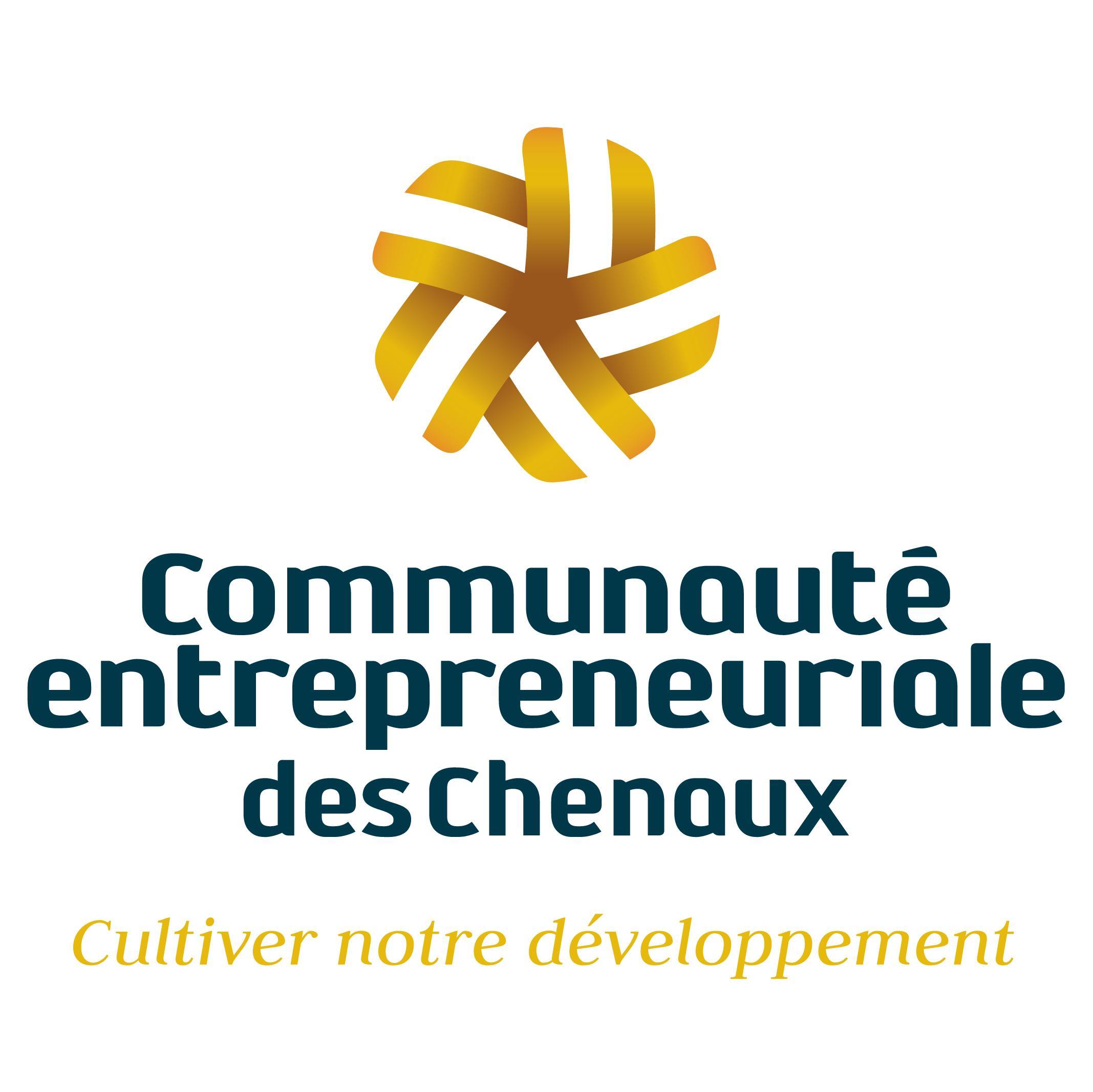 CE_des_Chenaux's profile picture. 