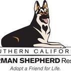 Southern California German Shepherd Rescue rescues, rehabilitates, provides spay/neuter and veterinary care, and re-homes abandoned German Shepherd Dogs.