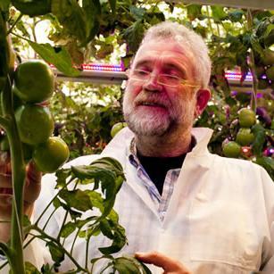 2HARVEST, passionated entrepeneur in practical knowledge and development in the high tech greenhouse industry, was the founder of GreenQ, peter@2harvest.nl