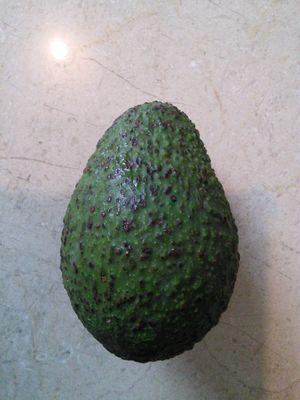 koheijorgem's profile picture. 中南米中心にコンサルタント業をやっています
そしてグランパスを応援しています

Grupo Los Laguitos（ソン・ハローチョグループ＠日本）