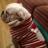 miltondufflodge's profile image