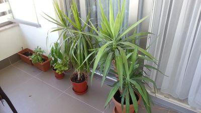 drozguravci's profile picture. Okuyan düşünen dinleyen konuşan soran yanıtlayan gülen güldüren ve diğer temel ihtiyaçlarını karşılayabilen bir insan.