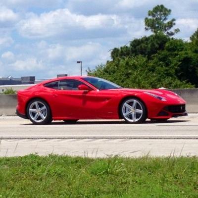 deathleopard8's profile picture. 