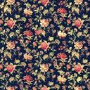 Kate Ansel - @Kitty09032 - Twitter