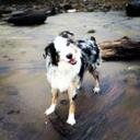 Michael Higgins - @xORmike - Twitter