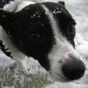 Work at Timbrook Ford, married to Misty, great baby girl name Charley, Have a dog named mountie, just follow me.